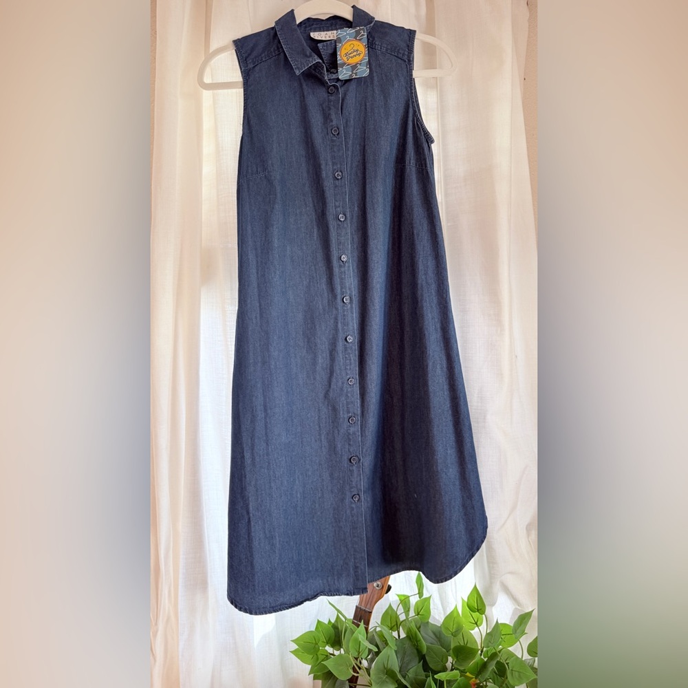 Denim Button-Down Dress